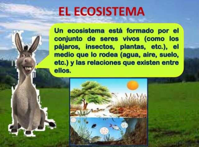 LOS ECOSISTEMAS
