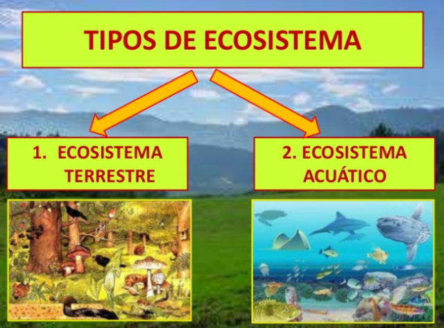 TIPOS DE ECOSISTEMAS
