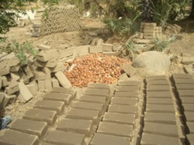 What did the first shelters look like?