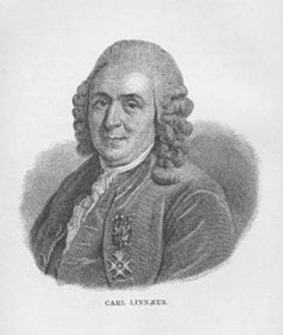 CARL VON LINEEO