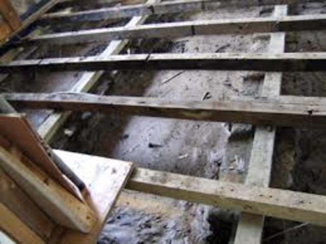 Yanek and his new friends hide in a floorboard