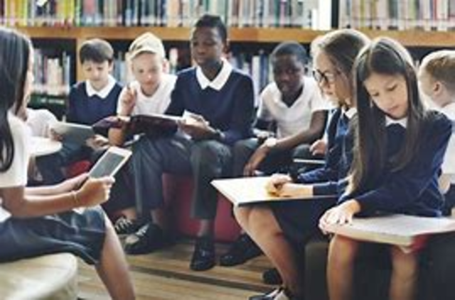 What is the diversity like?