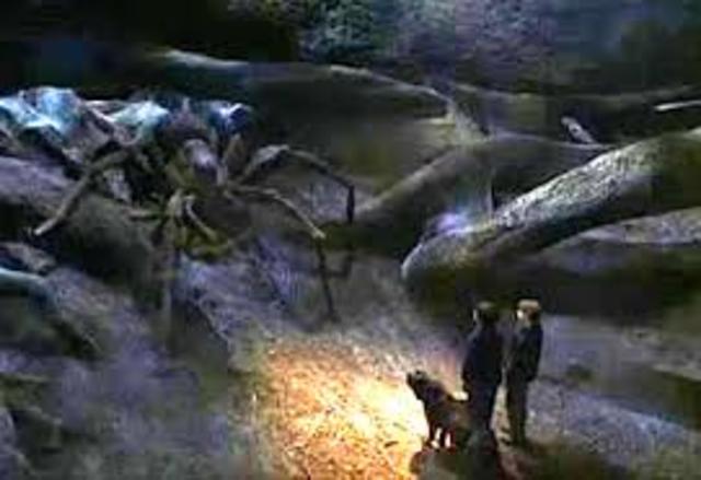 Harry and Ron meet Aragog