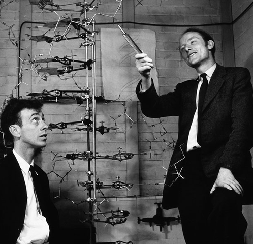 Watson y Crick