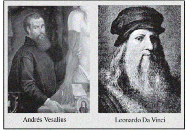 Andrés Vesalio y Leonardo Da Vinci.