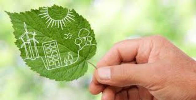 Decreto 1220 de 2005