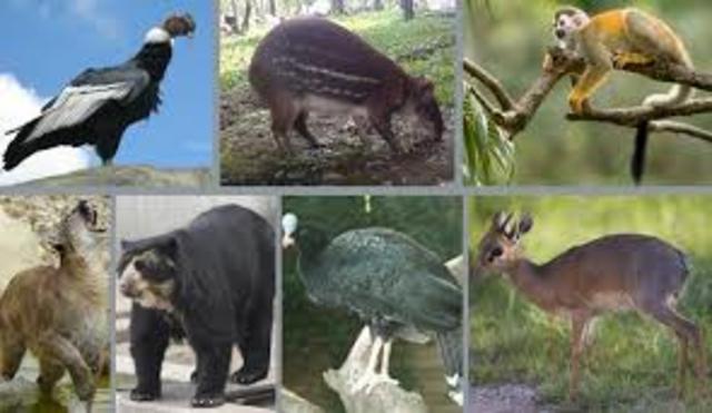 Resolución 0584 de 2002