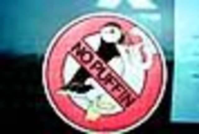 Cigarettes Can Cause Cancer