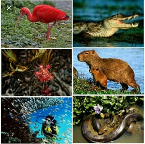 Resolución 189 de 1994