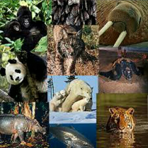 decreto 1420 de 1997