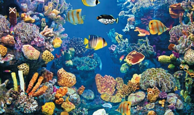 resolución 0348 de 2001