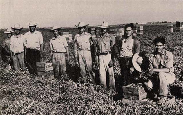 Bracero Programs