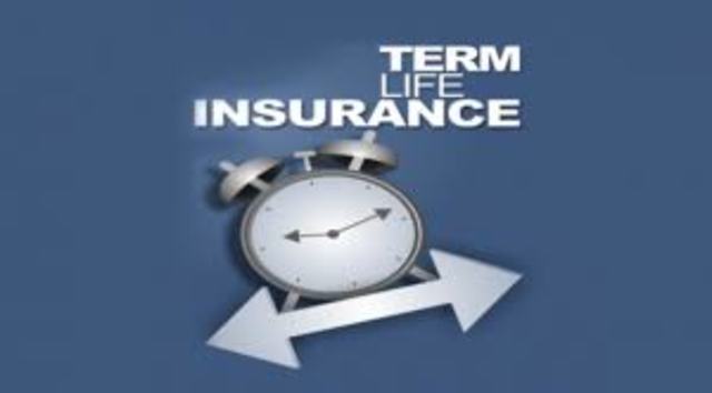 What is Terms Life Insurance?