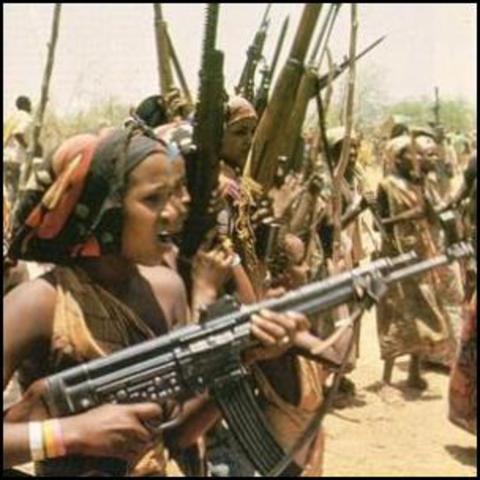 Tjad deltar i krigføringen / verste pågående Humanitærkrise