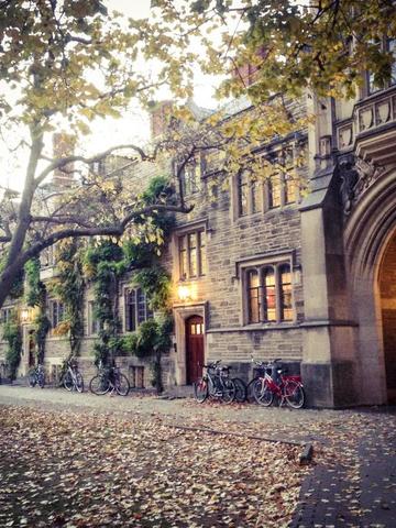 jan 1, 1917 princeton