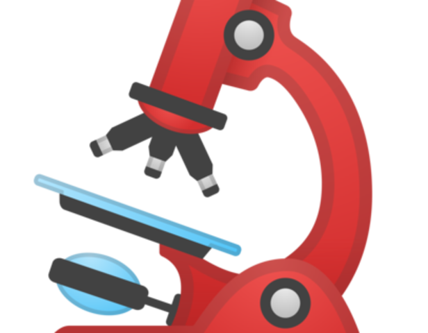 EL MICROSCOPIO COMPUESTO