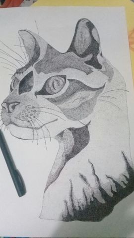 CARRERA UNIVERSITARIA