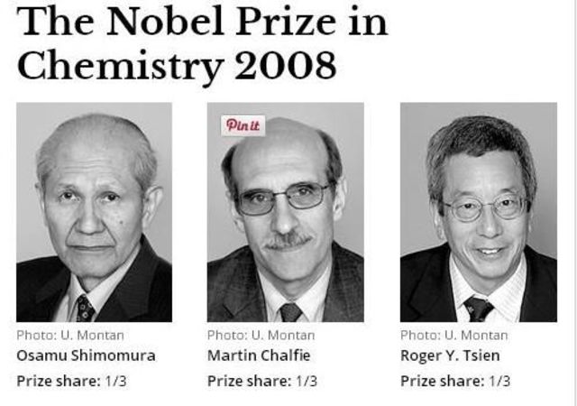 Martin Chalfie y Roger Y. Tsien y el Osamu Shimomura