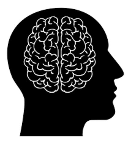 (8) 1:27 pm: Adnan Gets to Psychology Late