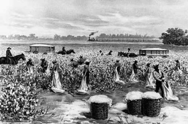 Differences between the north and south that starts some arguments between the whole nation