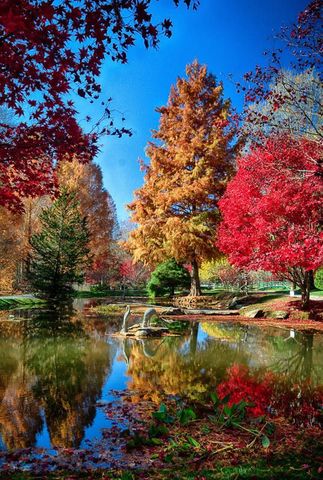 Fall of Atlanta, Georgia