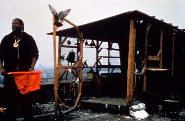 Ghost Dog: The Way of the Samurai