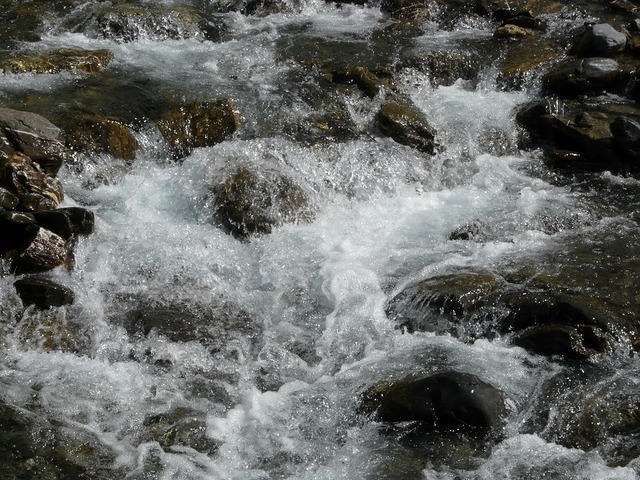 Torrent