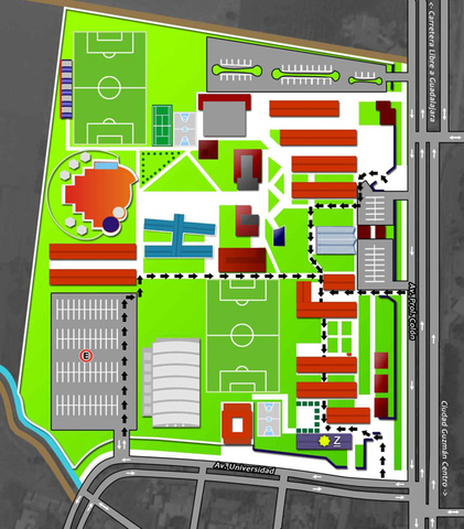 Ubicación Curricular