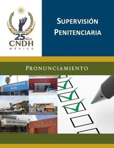 Supervisión penitenciaria