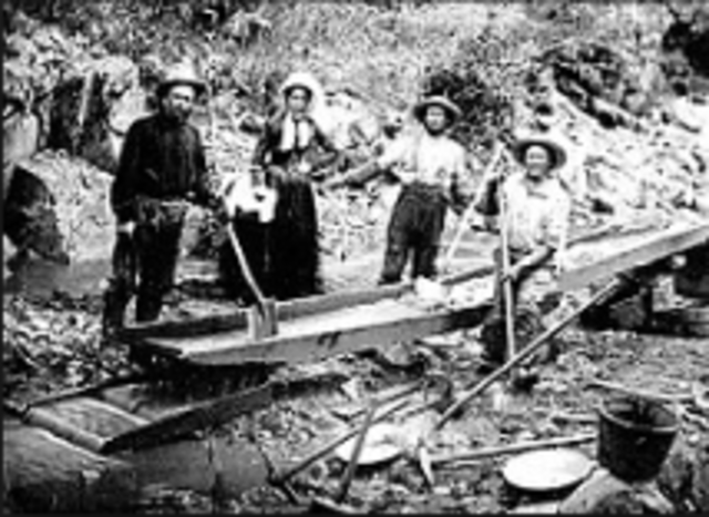 The Gold Rush Continues