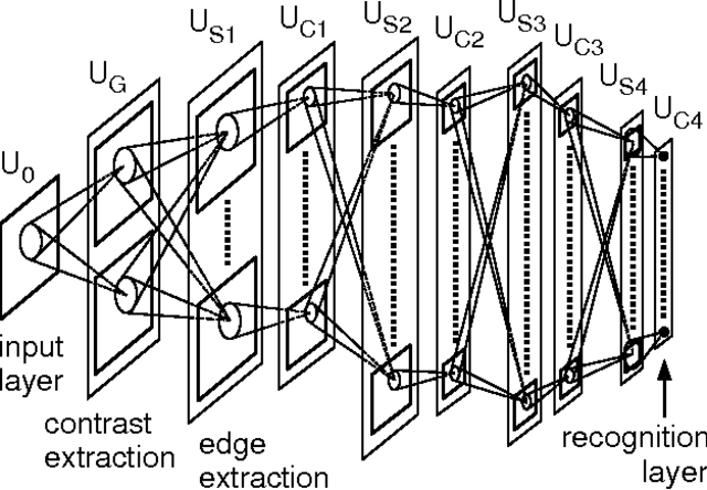Nacimiento de Neocognitron