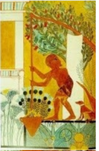 Evolucion de la hidraulica