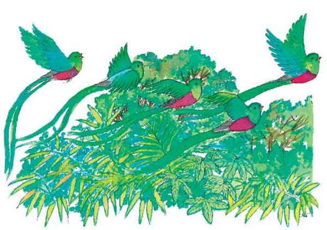 Constitucin de Cadiz, 1812