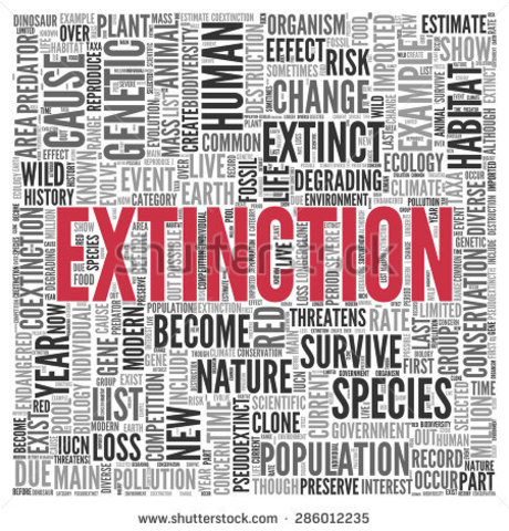 Extinção da Secretaria de Educação a Distância