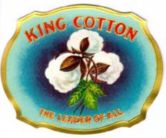 King Cotton Argument