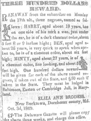 Harriet Tubman and her brothers escape from slavery.