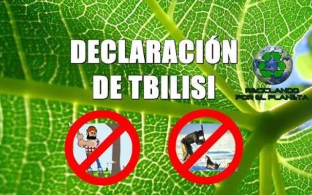 Documento "Declaraciones de Tbilisi"