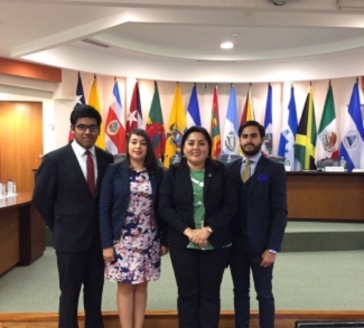 Procedimiento ante la Comisión Interamericana de Derechos Humanos