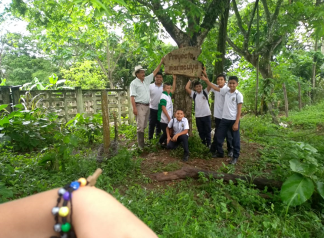 El arte en los proyectos productivos