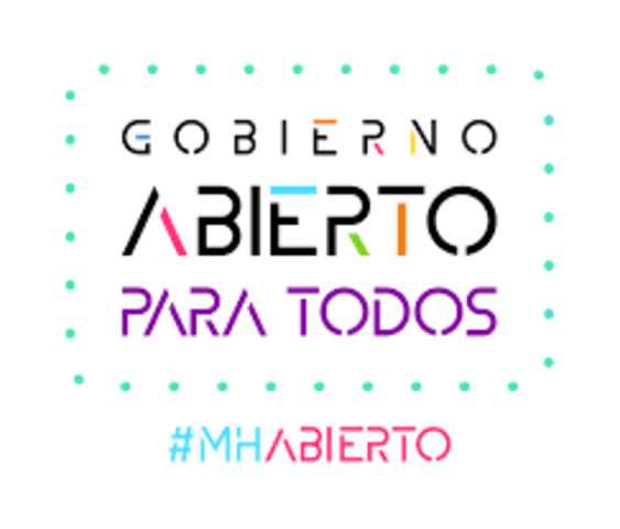 el gobierno abierto en mexico