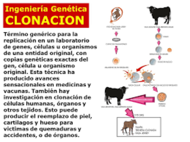 Gen de la distrofia muscular identificado por clonación posicional.