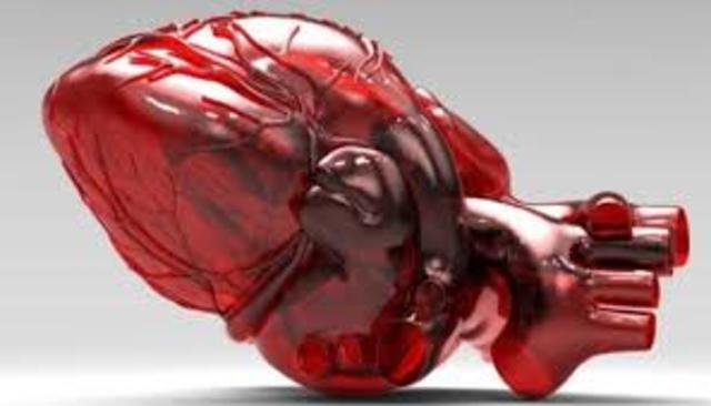 PRIMEROS ÓRGANOS UTILIZADOS EN LA MEDICINA