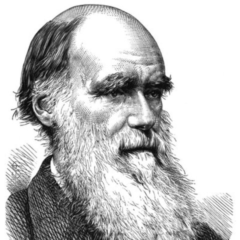 La publication de "L'Origine des espèces" par Charles Darwin jette les bases de la théorie de la sélection naturelle.