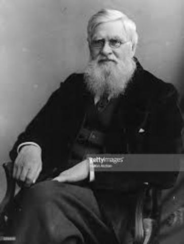 Alfred Wallace (Defensor de Darwin)