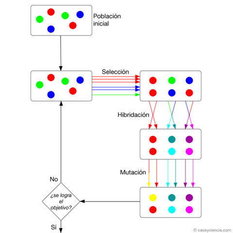 Algoritmos genéticos "Plan reproductio genético"