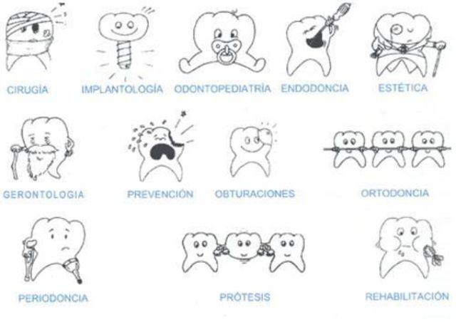 RAMAS DE LA ODONTOLOGIA