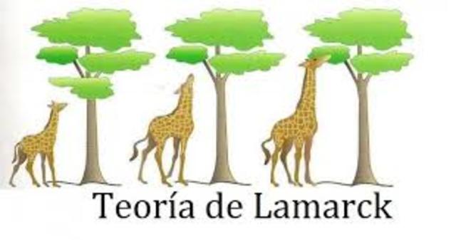 EVOLUCIONISMO O TRANSFORMISMO