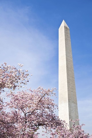 Building of The Washington Monument
