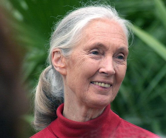 Dian meets Jane Goodall for the first time