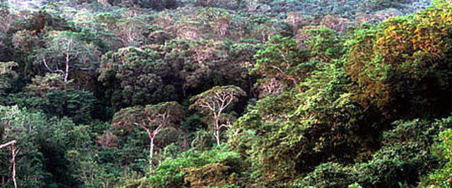 Diane leaves for her first trip to Africa